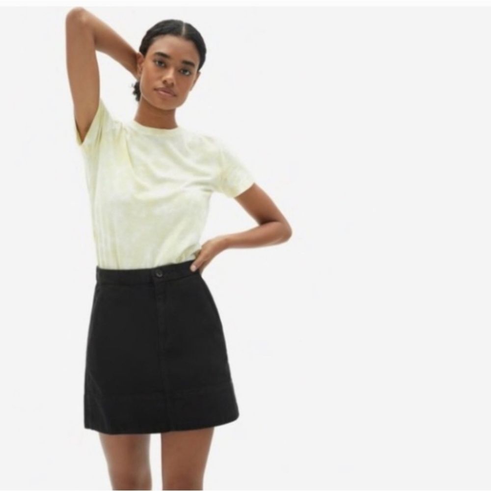 Everlane The Canvas Stamp Mini Skirt Size 6 In Black - Picture 16 of 16